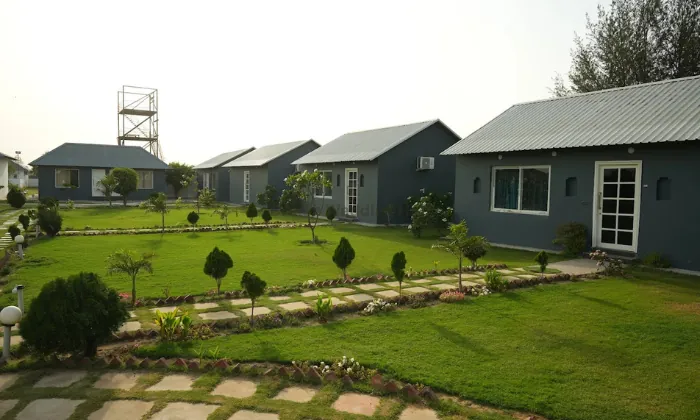 The Ashoka Farms