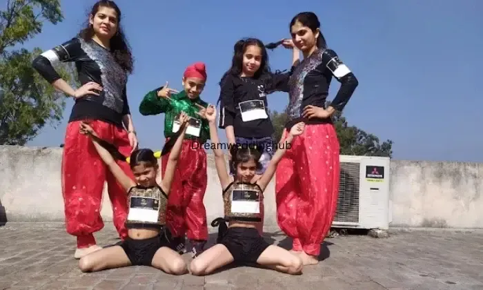The Bhangra Evolution Folk Art Acedemy