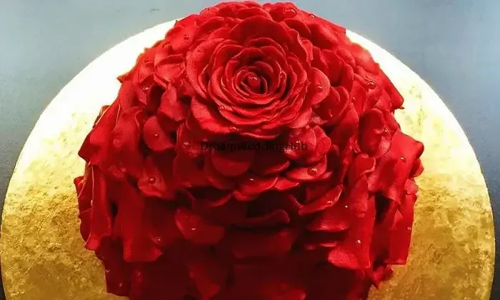 The Cake Cart Bhopal