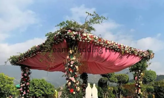 The Delhi Decor Company