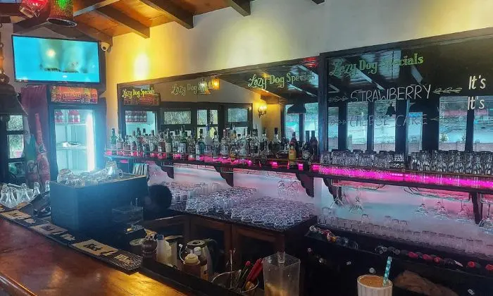 The Lazy Dog Lounge