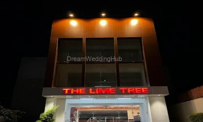 The Lime Tree The Lime Tree