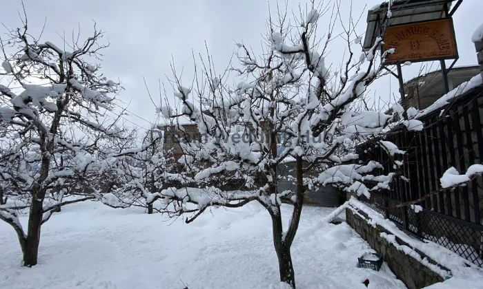 The Nature Home