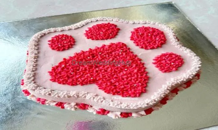 The Pawtisserie - Organic Pet Bakery And Treats