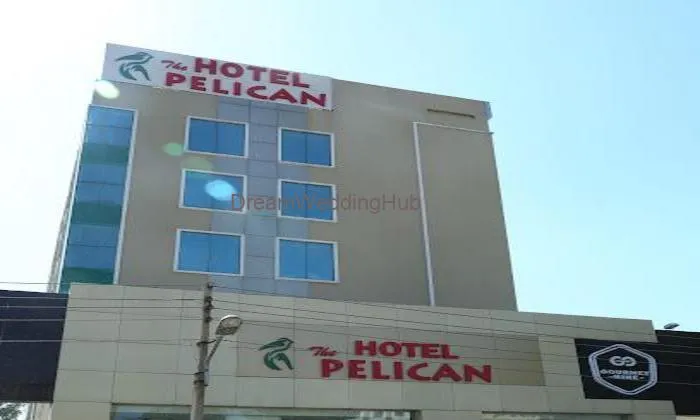 The Pelican