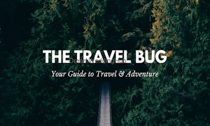 The Travel Bug