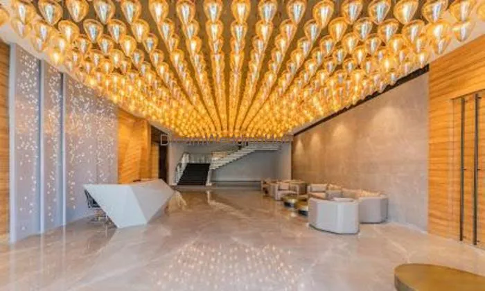 The Tulip Clubhouse The Tulip Clubhouse