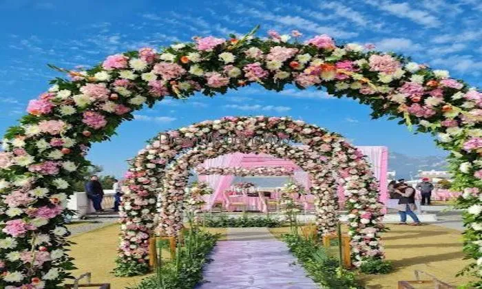 The Wedding Story