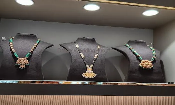 Tribhovandas Bhimji Zaveri (tbz - The Original), Gidc Road, Vapi