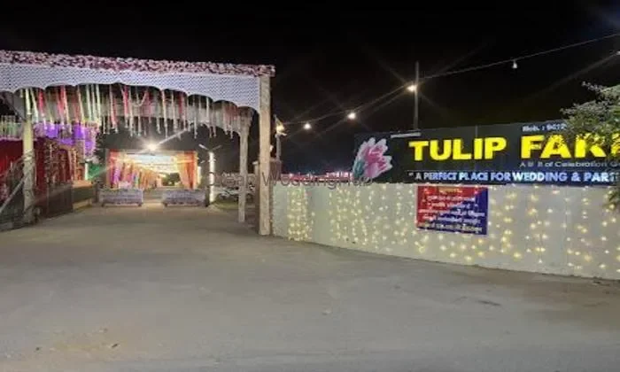 Tulip Farm