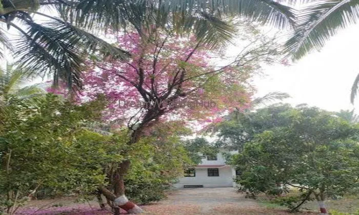 Uzsa Mahal Agro Farms