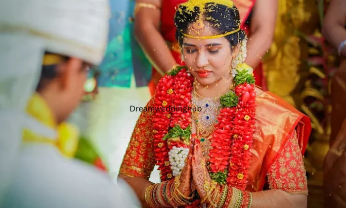 V Zone  Best Wedding Photographer