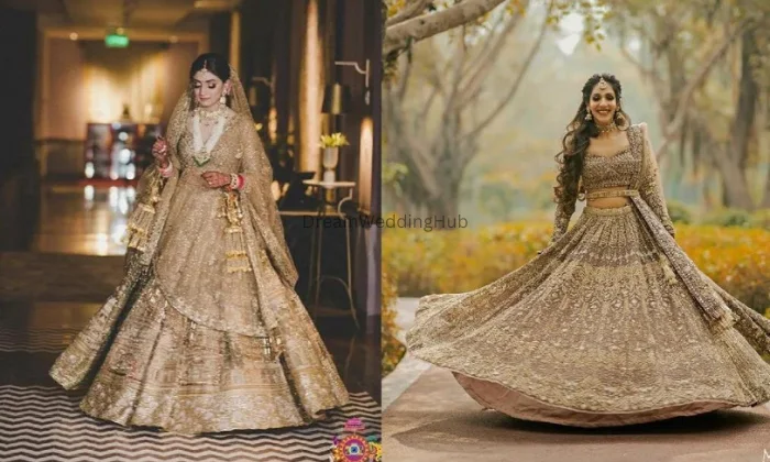 Vaishali Sarees