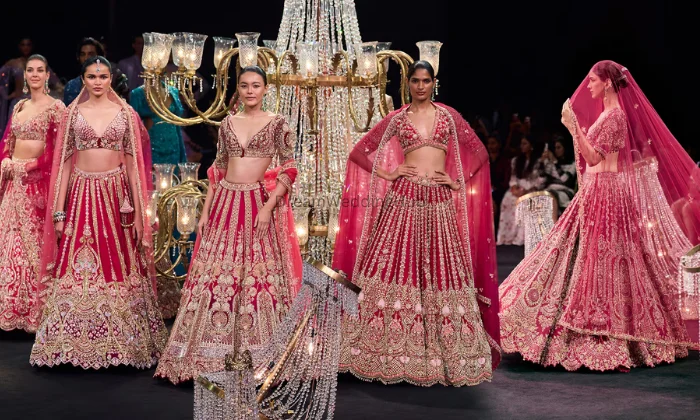 Vani Saree House