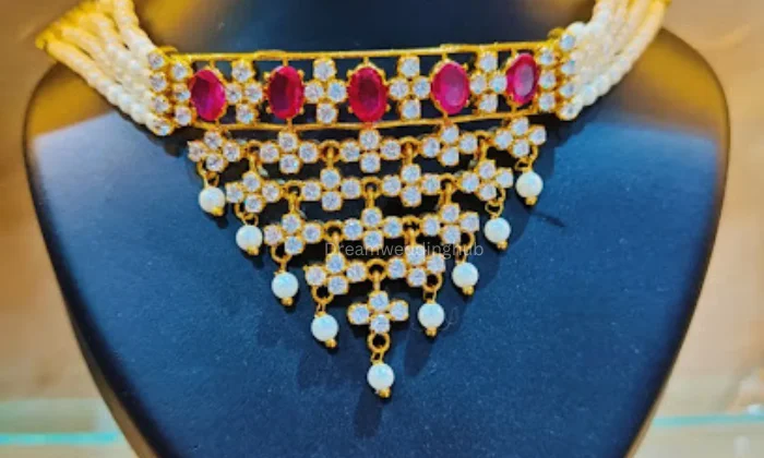 Veerbhara Jems