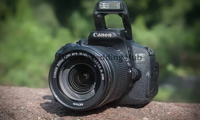 Vinay Rental Camera