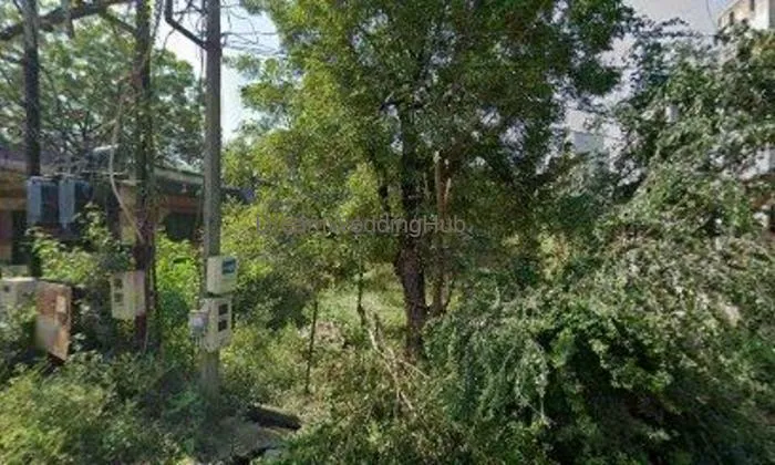 Vinit Hamberdikar Bekary