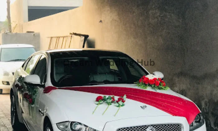 Vip Luxury Car Land