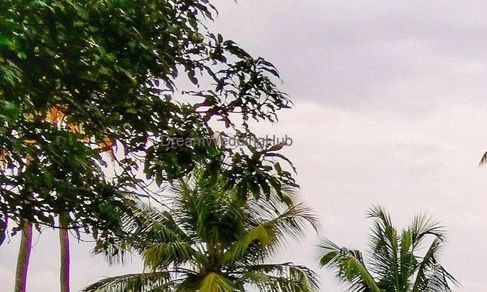 Vismaya Lake Heritage
