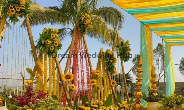 Weddings By Blue Horse - Decor