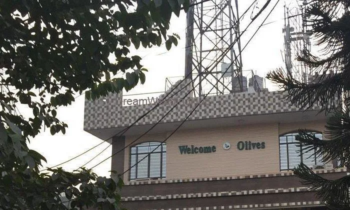 Welcome Olives