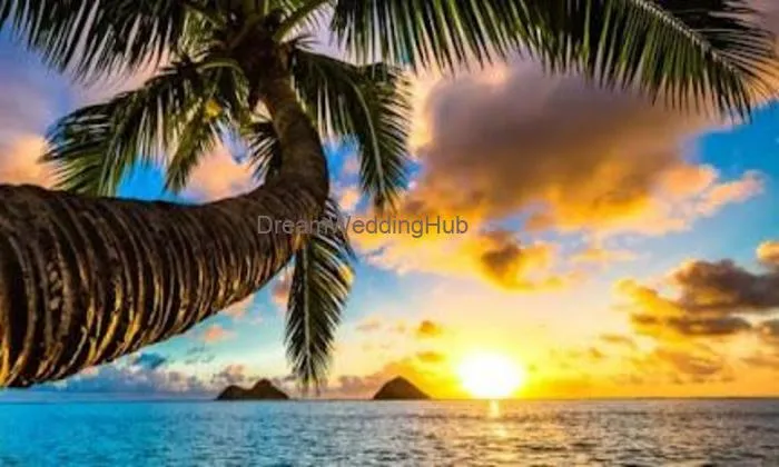 Wow Andaman Travels