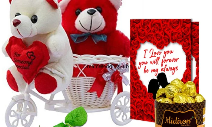 Wrap N Go Gifts  Toys