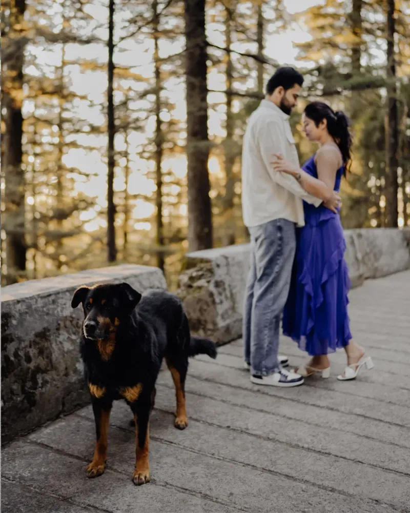 Wedding Photographer portfolio by thewedwellbypraveenrathor in Dehradun - Photo 5
