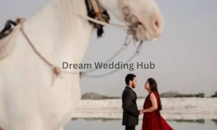 Wedding Photographer portfolio by Navin's Retrograf - Pre Wedding in Bangalore - Photo 1