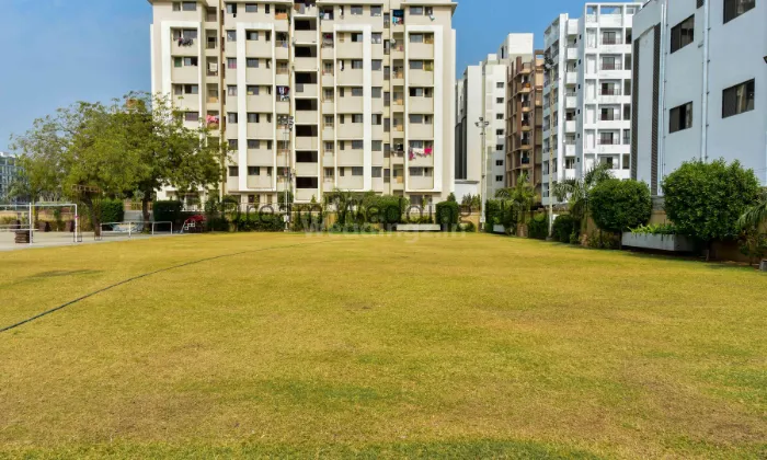 Wedding Venue portfolio by Lokhandwala Party Plot in Ahmedabad - Photo 1
