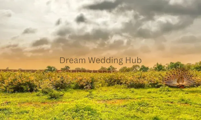 Wedding Venue portfolio by Mahadev Farm in Ahmedabad - Photo 1