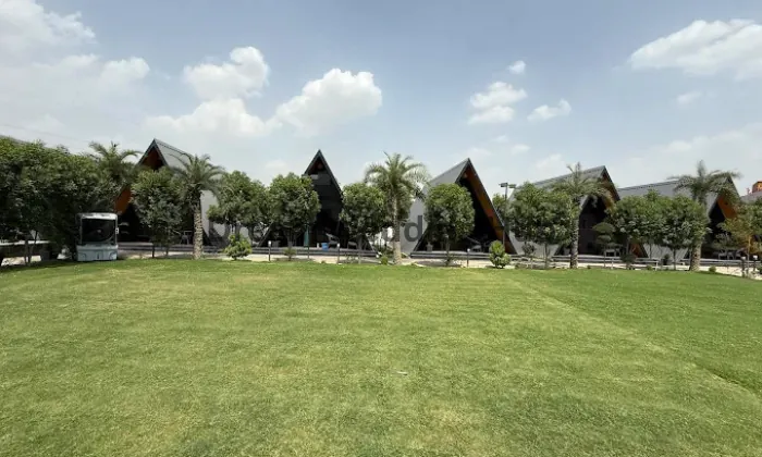 Wedding Venue portfolio by Patio Farms By Saltstayz in Gurugram - Photo 1 Wedding Venue portfolio by Patio Farms By Saltstayz in Gurugram - Photo 1